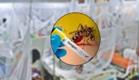 ২৪ ঘণ্টায় ডেঙ্গুতে ৮ জনের মৃত্যু, হাসপাত...